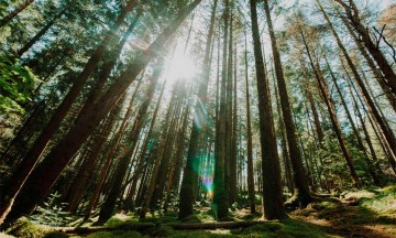 Es necesario crear un cambio colectivo ante el cambio climático