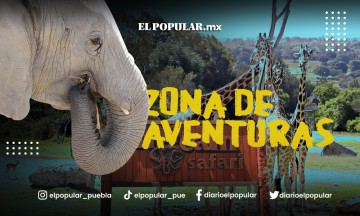 Zona de Aventuras del Africam Safari