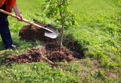 Eduardo Rivera impulsa el programa 'Aire Joven' con la plantación de 46 mil árboles