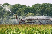 ¿Por qué es importante optimizar el aprovechamiento de agua en los cultivos a campo abierto?