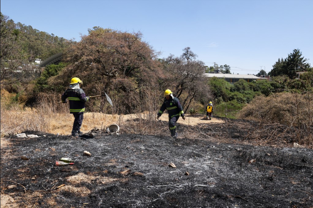 La mayoría de los incendios forestales en Puebla son provocados