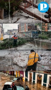 Fuertes lluvias con granizo en Puebla dejan árboles caídos y residuos urbanos