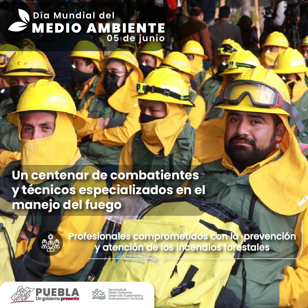 Día del Medio Ambiente Fuente: Secretaría del Medio Ambiente