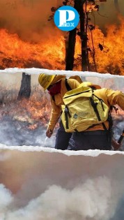 Puebla es el quinto estado con mayor número de incendios forestales