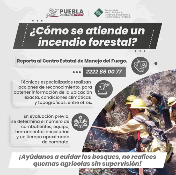 ¿Cómo se atiende un incendio forestal? Fuente: Secretaría de Medio Ambiente 