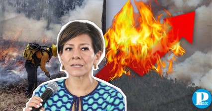 Jamás se habían registrado tantos incendios forestales en Puebla