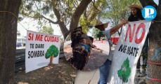 Ambientalistas convocan a frenar la tala de árboles por distribuidor Vial Amalucan