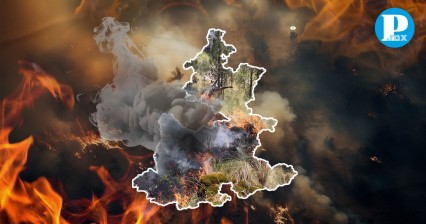 Puebla ha perdido más de 10 mil hectáreas de suelo boscoso por incendios forestales