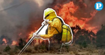 Puebla reporta 337 incendio en lo que va del 2024 