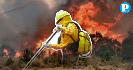 Puebla, en séptimo lugar a nivel nacional en incendios forestales durante el 2024