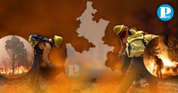 427 incendios se han registrado en Puebla en 2024 