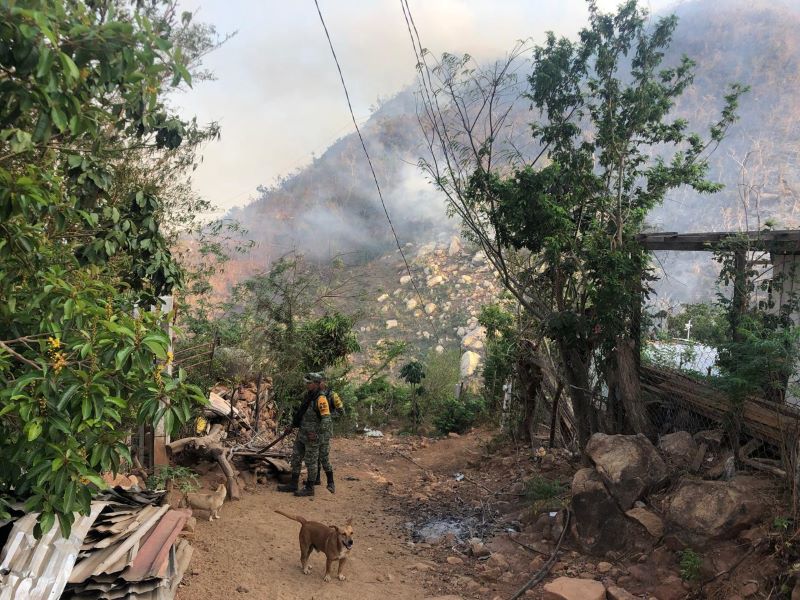 427 incendios forestales en Puebla en 2024