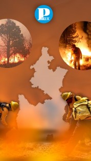 Puebla en quinto lugar nacional en incendios forestales, ha registrado 427 durante el 2024