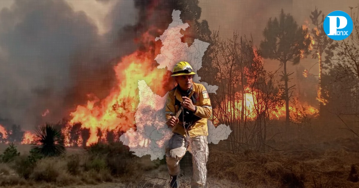 Incendios forestales en Puebla 