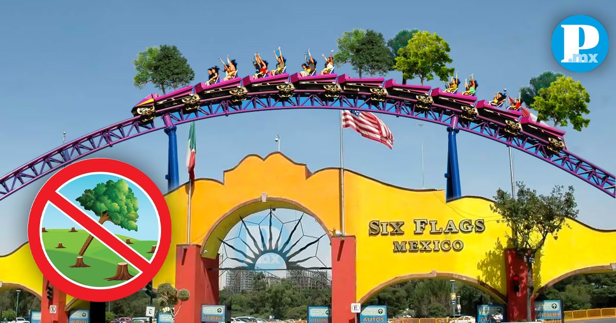 Prohibirán la tala de arboles en Six Flags