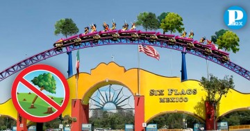 Prohibirán la tala de arboles en Six Flags