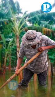 Inundaciones afectan la agricultura en México