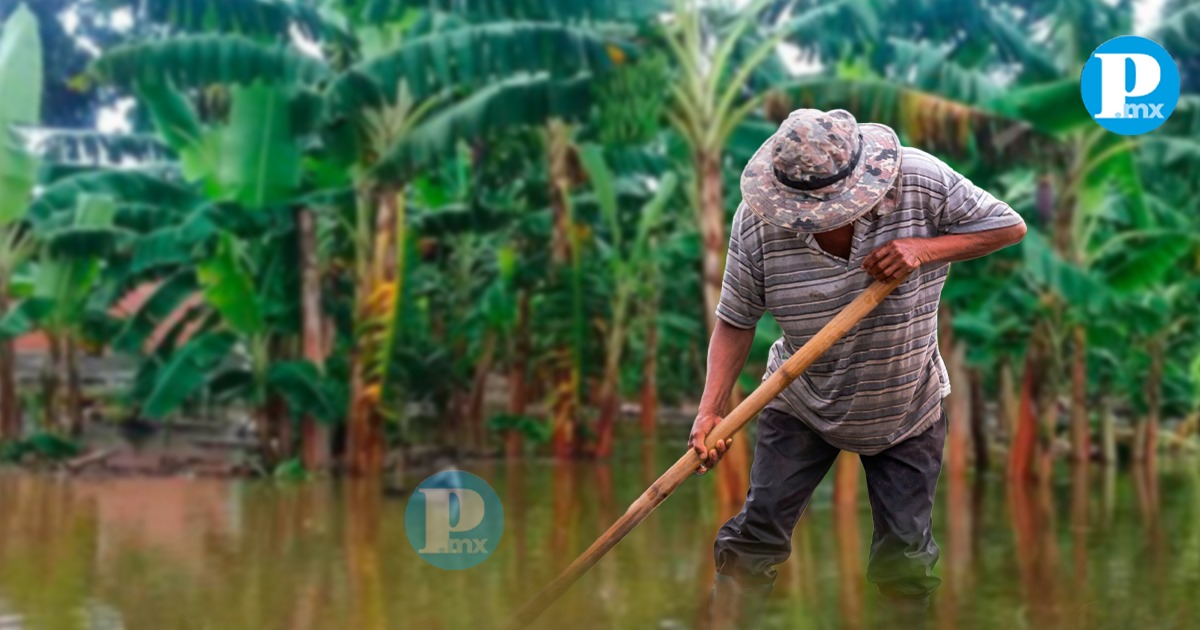 Inundaciones en el campo de México