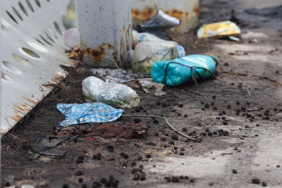 Basura en Puente Peatonal. Foto: EsImagen