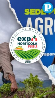 BUAP anuncia la ‘Expo Hortícola'; habrá semillas, maquinaria, fertilizantes y más