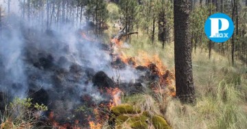 Puebla ha registrado 417 incendios forestales durante el 2024