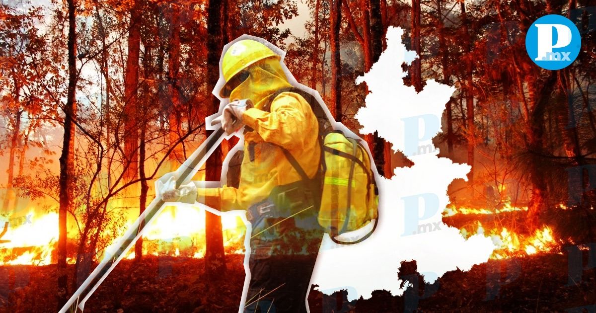 Puebla registra 13 incendios forestales hasta el 10 de febrero de 2025