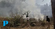 Policía Montada refuerza vigilancia en el Cerro Zapotecas y se suma al combate de incendios