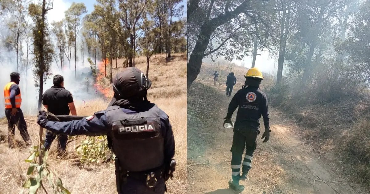 Policía Montada refuerza vigilancia en el Cerro Zapotecas y se suma al combate de incendios
