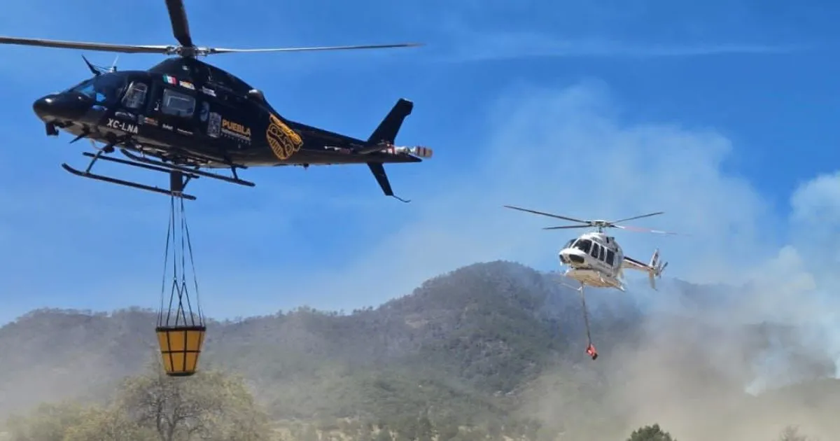Personal de diferentes instancias trabajan en liquidación de 4 incendios activos en Puebla