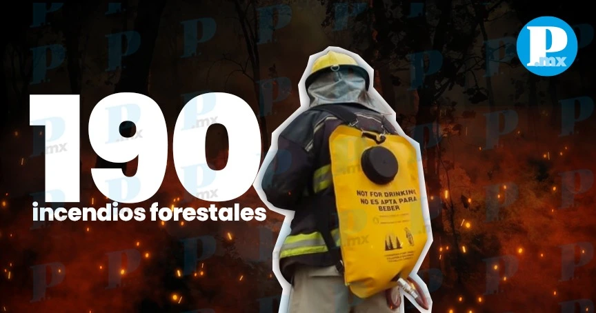 Puebla registra 190 incendios forestales; ocupa el séptimo lugar nacional