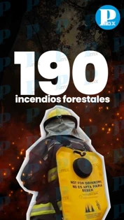 Puebla registra 190 incendios forestales; ocupa el séptimo lugar nacional
