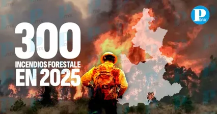 Puebla suma casi 300 incendios forestales en 2025; más de 11 mil hectáreas afectadas