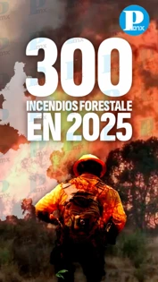 Puebla suma casi 300 incendios forestales en 2025; más de 11 mil hectáreas afectadas