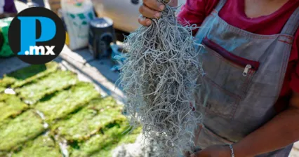 Las autoridades pidieron a los ciudadanos reportar cualquier venta sospechosa