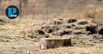 Delitos ambientales en Puebla aumentan 31 por ciento en 2025