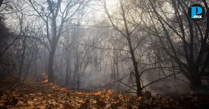 Incendios forestales da&ntilde;aron 13 mil hect&aacute;reas en Puebla, reporta Medio Ambiente