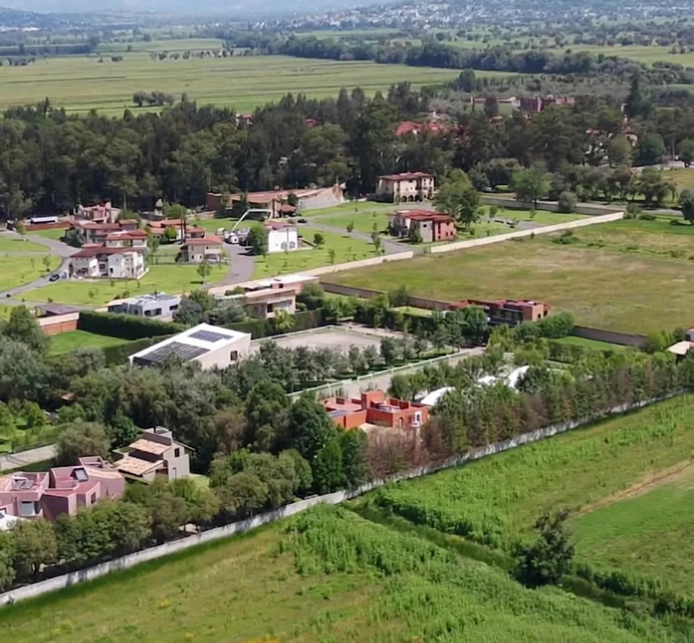 Durante años sembraron cerca de 500 árboles anuales, hasta superar los 3 mil 500 ejemplares