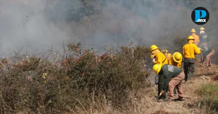 Puebla suma 185 incendios forestales durante 2026