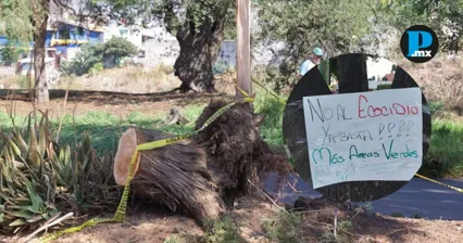 Vecinos de Bosques de San Sebasti&aacute;n bloquearon el bulevar Xonacatepec tras la tala de &aacute;rboles en el bulevar del Casco, frente a la Gran Bodega.