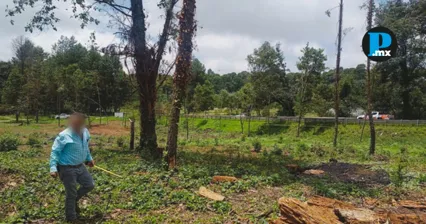 La Profepa suspendi&oacute; actividades vinculadas con la extracci&oacute;n de feldespato y el cambio de uso de suelo en un predio forestal de Zacatl&aacute;n.