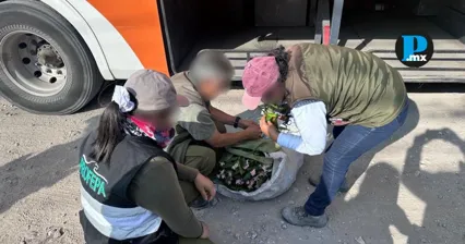 Autoridades federales aseguraron 65 ejemplares de vida silvestre durante un operativo contra el comercio ilegal realizado en la Sierra Negra de Puebla.