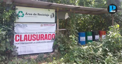 Profepa frena cambio ilegal de uso de suelo en Chiapas