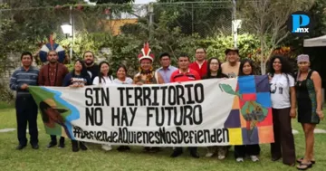  Especialistas llaman a reforzar protecci&oacute;n de defensores del medio ambiente
