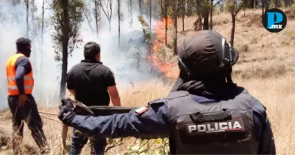 Puebla registra 296 incendios forestales y sigue en el top 10 nacional