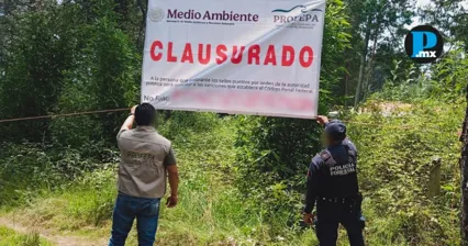 Profepa clausur&oacute; proyectos inmobiliarios ilegales en terrenos forestales de Zacatl&aacute;n.