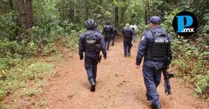 Las autoridades reforzaron criterios para verificar la legal procedencia de recursos forestales en el estado de Puebla.