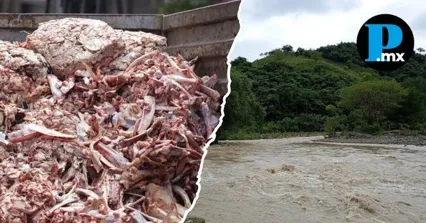 Pobladores denunciaron el vertimiento clandestino de desechos de cerdo en un tramo del r&iacute;o en Nauzontla.
