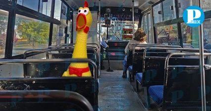 Movilidad retira ‘pollo chillón’ usado como timbre en camión de Puebla 