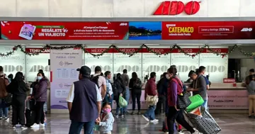 Se mantiene abierta la atención en taquillas y líneas de contacto para ofrecer opciones de cambio de fecha o reembolso