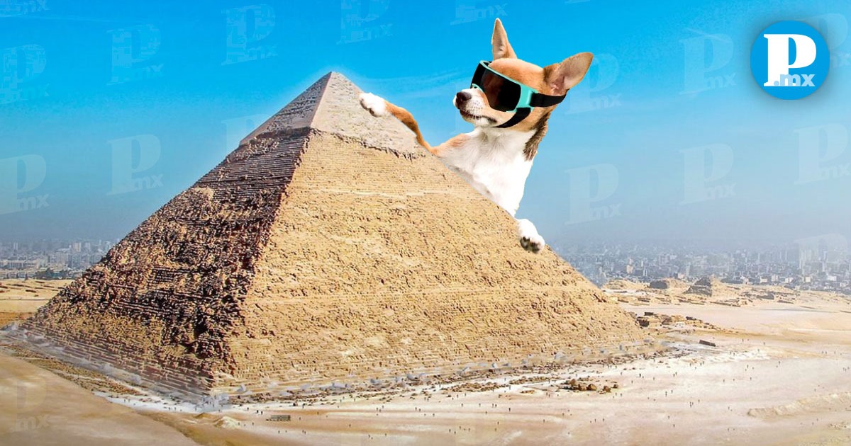 Un perrito se ha viralizado en redes sociales tras ser captado en la cima de la Gran Pirámide de Giza